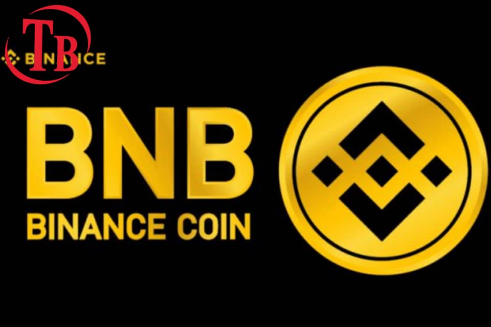 بایننس کوین (BNB) چیست؟ بررسی کامل ارز دیجیتال صرافی بایننس، تاریخچه، کاربردها و آینده آن